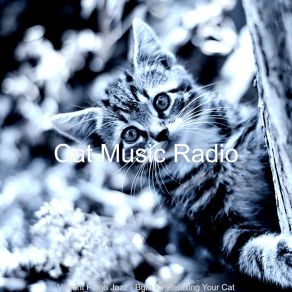 Download track Easy Backdrops For Resting Cats Cat Music Radio