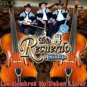 Download track No Se Lo Deseo A Nadie Trio Recuerdo Hidalgo