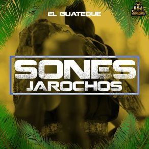 Download track El Palomo Y La Paloma Sones Jarochos