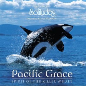 Download track Pacific Grace Dan Gibson