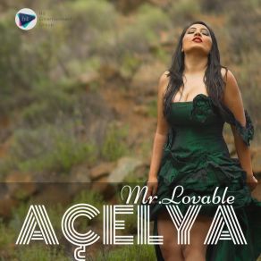 Download track Mr. Lovable Acelya