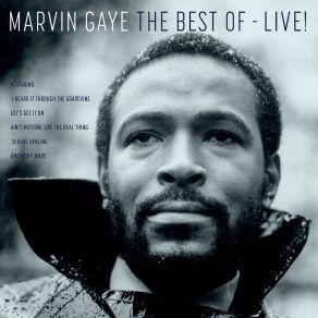 Download track Inner City Blues (Make Me Wanna Holler) (Live) Marvin Gaye