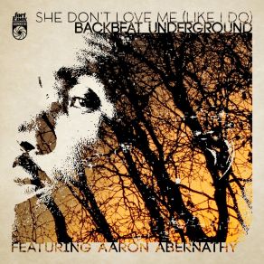 Download track She Don't Love Me (Like I Do) (Radio Edit) Backbeat UndergroundAaron Abernathy