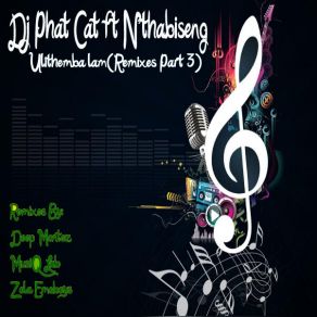 Download track Ulithemba Lam (Zola Emoboys Drum N Bass Drag Remix) Dj Phat-CatNthabiseng