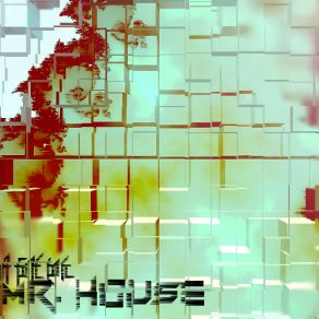 Download track This Is Wrong, We All Know It Mr. House