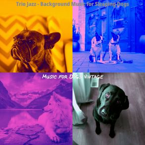 Download track Wondrous Backdrops For Lonely Dogs Music For Dogs Vintage