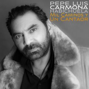 Download track Mi Vidalita (En Directo) Pepe Luis CarmonaLuisi Carmona