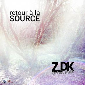 Download track Laisse Le Temps (Acoustique) ZDK Artist Indé