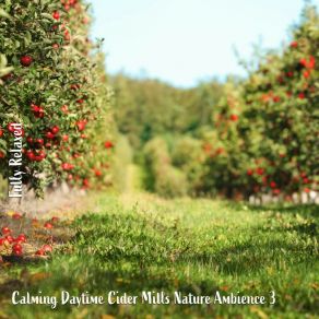 Download track Calming Daytime Cider Mills Nature Ambience, Pt. 2 Steve Brassel