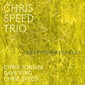 Download track Advil Dave King, Chris Speed, Chris Tordini, Chris Speed Trio