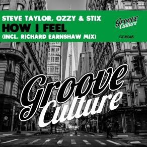 Download track How I Feel (Richard Earnshaw Mix) Steve Taylor