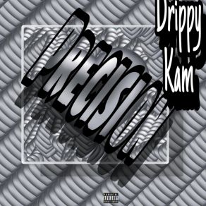 Download track Precision Drippy Kam