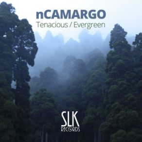 Download track Evergreen (Original Mix) NCamargo