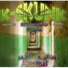 Download track Aceite Y Sal Acid Scrath K - SKUNK