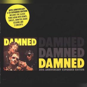 Download track Feel The Pain & The Damned