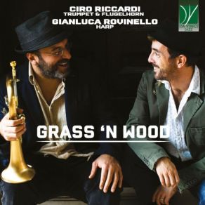 Download track Mediterraneo Ciro Riccardi