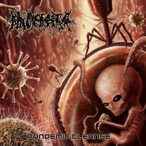 Download track Eaten By The Hierarchy Placenta PowerfistVladislav Martirosov Of Extermination Dismemberment