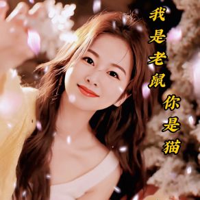 Download track 我是老鼠你是猫 Da Yu Dian Er