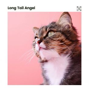 Download track My Cats' Fave Tone Cats Music Zone