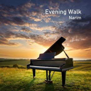 Download track Soft Lights Narim