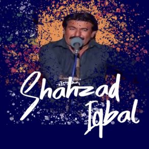 Download track Is Gali Vich Ghar Shahzad Iqbal