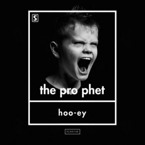 Download track Hoo-Ey (Original Mix) The Prophet