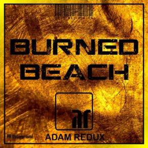 Download track Back To Basics (Original Mix) Adam Redux