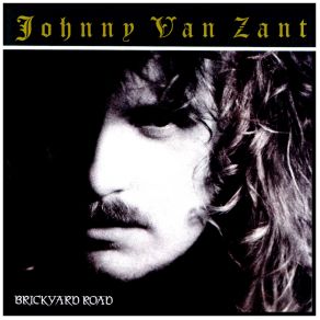 Download track Standing In The Falling Rain Johnny Van Zant