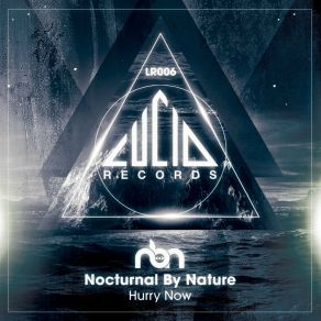 Download track Hurry Now (Original Mix) Nocturnal By Nature