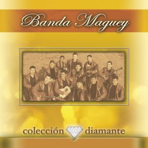 Download track Mil Gracias Banda Maguey