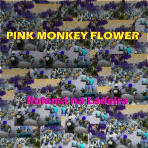 Download track Ladeira Da Miséria Pink Monkey Flower