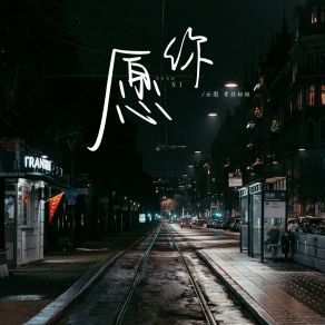 Download track 愿你 (女空拍) 青丝姐姐