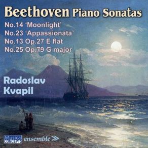 Download track No. 13, Op. 27, No. 1: II. Allegro Molto E Vivace Radoslav Kvapil