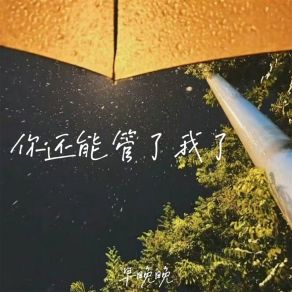 Download track 你还能管了我了 早晚晚