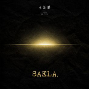 Download track Saela (伴奏版) 王泽鹏