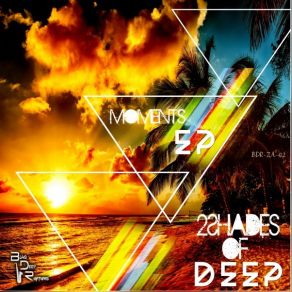 Download track Melodica (Steel Drum Mix) 2Shades Of Deep