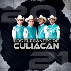 Download track Los Poliguachos Los Elegantes De Culiacan