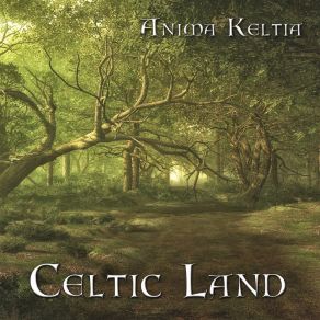 Download track Women Of Ireland Anima KeltiaLucia De Carlo