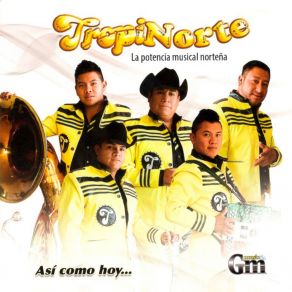 Download track Si No Te Hubieras Ido TropiNorte