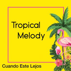 Download track La Mapanare Tropical Melody