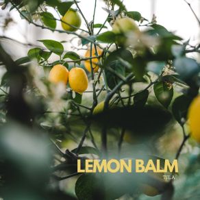 Download track Lemon Balm Tila