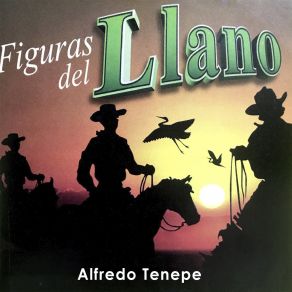 Download track Corazón Sufrido Alfredo Tenepe