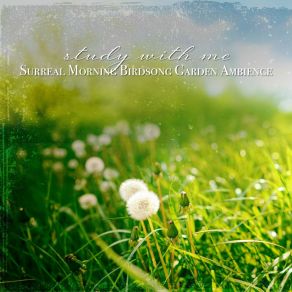 Download track Surreal Morning Birdsong Garden Ambience, Pt. 3 Sebastian Riegl