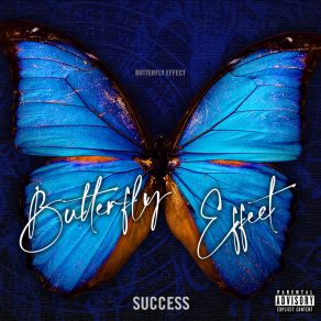 Download track Butterfly Effect Success