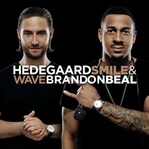 Download track Smile And Wave Hedegaard