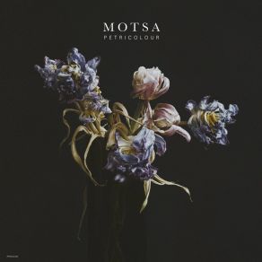 Download track The Storm Motsa