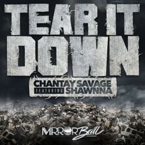 Download track Tear It Down (Explici) Chantay SavageTerry Hunter, Shawnna, Explicit