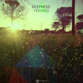 Download track Feelings Deepness