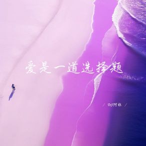 Download track 爱是一道选择题 DJ阿杜