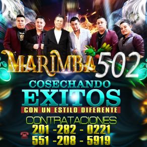 Download track Como El Año Viejo Marimba 502